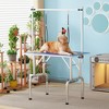Dog Pet Grooming Table Heavy Duty Adjustable with Overhead Arm, Two Grooming Noose Mesh Tray - 3 of 4