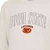 NCAA Iowa State Cyclones Men's Crew Neck Fleece Sweatshirt - 3 of 3