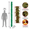 National Tree Company Pre-Lit 'Feel Real' Artificial Christmas Garland, Green, Classical, White Lights, With Berry Clusters, Plug In,9 Feet - 3 of 4