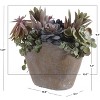 Artificial Plant - Faux 13" Potted Succulent Plant - FXP1010 - Green/Brown - Safavieh - 3 of 3