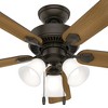 Hunter Fans Swanson 1 - Light in  New Bronze - 4 of 4