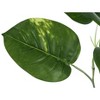 NicBex Artificial Tree Artificial Plant 54" Tall Artificial Dieffenbachia Tree with Black Pot, Room Decor for Home Office Foyer Porch - 4 of 4