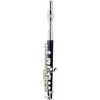 Giardinelli GPC-300 Piccolo Level 2  194744447488 - 2 of 4