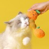 ZEZE “Orange Blessings” Catnip Ball Toy-Orange - 3 of 4