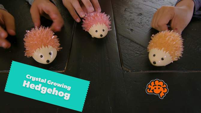  Fat Brain Toys Crystal Growing Hedgehog - Pink FB292-5, 2 of 8, play video