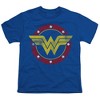 Boys' Short Sleeve Justice League Wonder Woman Circle Logo T-Shirt - 2 of 4
