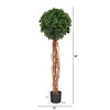 4.5' Indoor/Outdoor English Ivy Single Ball Artificial Topiary Tree with Natural Trunk - Nearly Natural: UV-Resistant Faux Floor Plant - 4 of 4