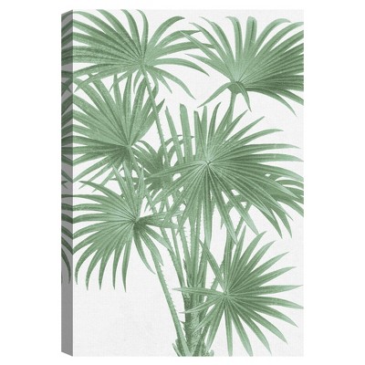 24" x 36" Stretching Palms by the Vintage Collection Unframed Wall Canvas - Masterpiece Art Gallery