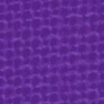 orlando city soccer club