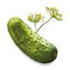 Organic Kosher Baby Dill Pickles - 32 fl oz - Good & Gather™ - 3 of 3