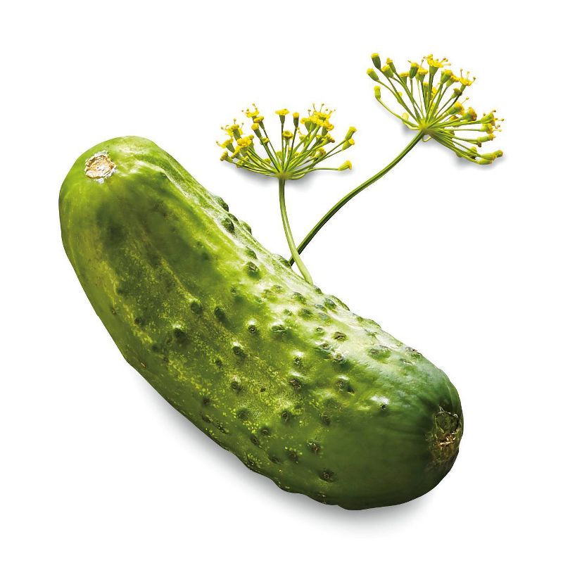 Organic Kosher Baby Dill Pickles - 32 fl oz - Good &#38; Gather&#8482;, 3 of 4
