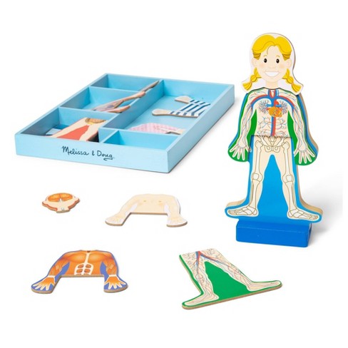 Melissa & Doug Magnetic Human Body Anatomy Play Set And Storage Tray - 24pc  : Target