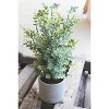 Artificial Boxwood in a Cement Pot – 18" Decorative Faux Green Plant by Kalalou - 2 of 3