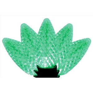 Celebrations Platinum LED C9 Green 25 ct String Christmas Lights 25 ft. - 1 of 1