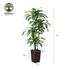5-6ft UV & Sunproof Artificial Dracaena Tree for Indoor/Outdoor - Faux Silk Plant in Tall Planter, Tall Faux Tree for Home & Garden Decor - 3 of 4
