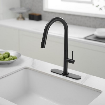 Matte Black Brass High Arc Single Handle Kitchen Faucet