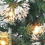 snowflake light box