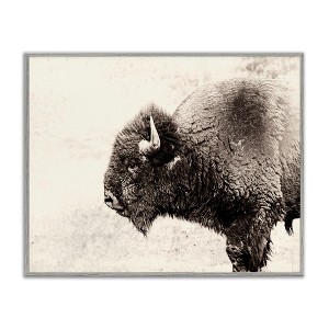 Stupell Industries Shaggy Buffalo Rustic Portrait Vintage Sepia Tone Photography Black Framed Giclee Art - 1 of 4