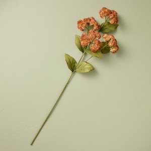 25" Orange Sedum Artificial Stem - Hearth & Hand™ with Magnolia - 1 of 3