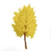 Alilang Decorative Dried Fern Leaves for Home Decoration and Floral Arrangements, 13.5 Inches - 3 of 4