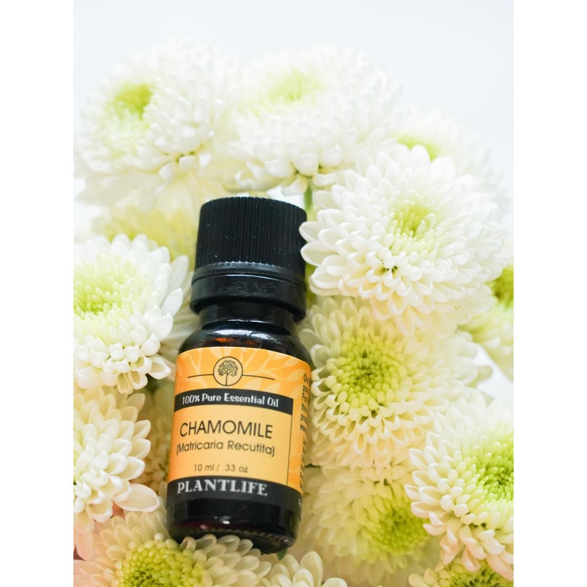Plantlife Chamomile Aromatherapy Essential Oil – 100% Pure, Therapeutic Grade, No Additives or Fillers, 10 ml - thumbnail 3