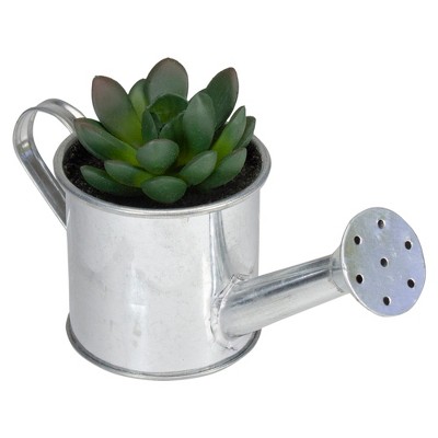 Northlight 4" Tropical Rose Succulent in Water Can Artificial Potted Plant - Green/Silver