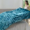 Bedsure- Cloud Soft PV Blanket ,Comfy Plush and Furry Faux Fur - 4 of 4