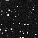 chicago white sox road 1919-1921