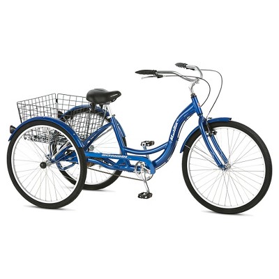 blue trike bike