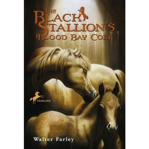 The Black Stallion's Blood Bay Colt - by  Walter Farley (Paperback) - 1 of 1