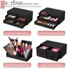 Sorbus Large 12 Drawers Makeup Organizer with Lipstick Slots & Makeup Brush Holders - 4 of 4