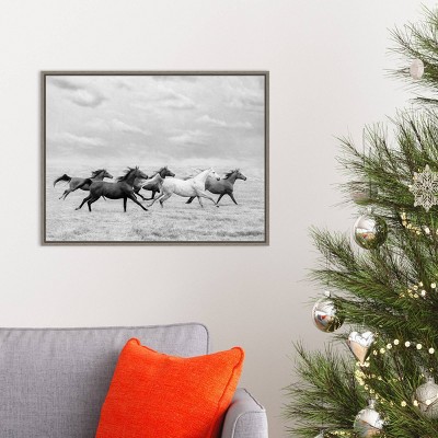 24" x 18" Black and White Horse Run Framed Canvas Print