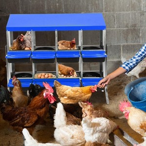 Jojoka Chicken Nesting Box with Roll Away Egg Tray, Metal Nesting Boxes for Chickens, Large Holes, Egg Protection, Two Mounting Options - 1 of 4