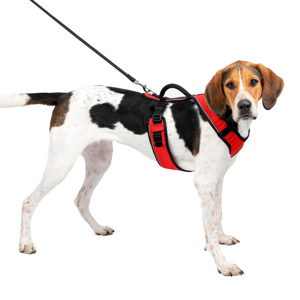 Photos - Collar / Harnesses PetSafe EasySport Adjustable Dog Harness - L - Red 