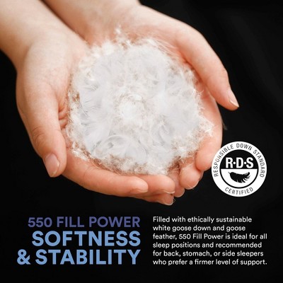 Standard White Goose Down and Feather Blend Firm Sleep Pillow Set