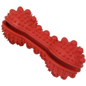 Pet Life Denta-Bone TPR Treat Dispensing and Dental Cleaning Durable Dog Toy - 1 of 1