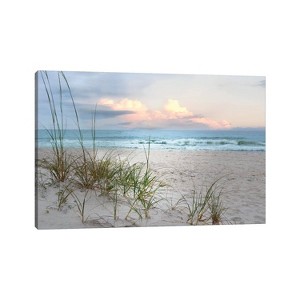 Beach Driftwood by Nan Unframed Wall Canvas - iCanvas - 1 of 4