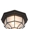 Yosemite Home Decor 3902LIORB Serge Collection Incandescent Exterior, 2-Light Flush Mount/10.75-Inch, Oil-Rubbed Bronze Frame, 24 Piece - 3 of 4