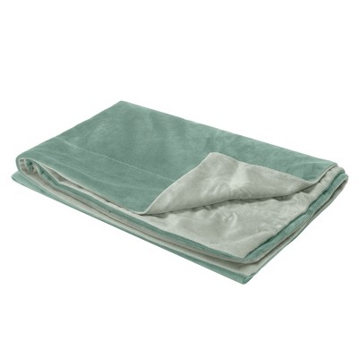 Medium Celadon Green Velvet Waterproof Reversible Pet Blanket