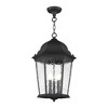 Livex Lighting Hamilton 3 - Light Pendant in  Textured Black - 4 of 4