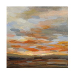Trademark Fine Art -Silvia Vassileva 'High Desert Sky II' Canvas Art - 1 of 4