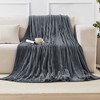 Hyleory CozyFluff Flannel Throw Blanket - Ultra-Soft, Warm & Lightweight with 4 Sizes - 2 of 4