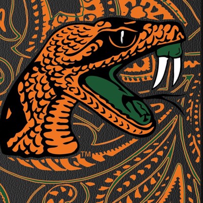 florida a&m rattlers