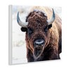 Stupell Industries American Bison Photography Wall Plaque Art - 3 of 4