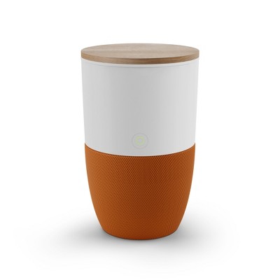 Dupray Bloom Air Purifier | Medical-Grade HEPA-13 Air Filtration