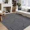 Modern Washable Area Rug, Geometric Pattern Throw Carpet with Non Slip Backing, Low Pile Stain Resistant Floor Carpet for Living Room - 2 of 4