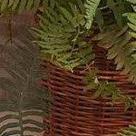 antique red and blue