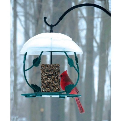 Bird seed cylinder store holder