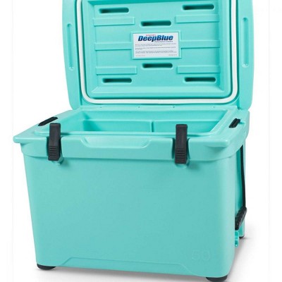 Stainless Steel Ice Chest Target