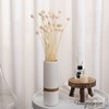 Uniquewise Preserved Real Floral Stems Chic Vase Fillers & Accents for Bouquets Centerpieces - 2 of 4